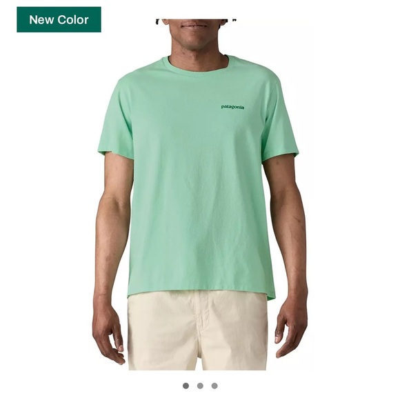 Patagonia Men's Medium Fitz Roy Icon Responsibili-Tee T-Shirt Rinsed Green NWT - Picture 3 of 10